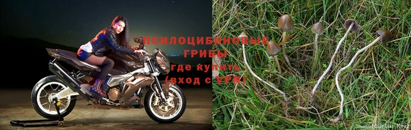 твердый Белоозёрский