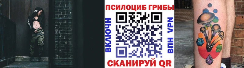 Галлюциногенные грибы MAGIC MUSHROOMS  продажа наркотиков  Городец 