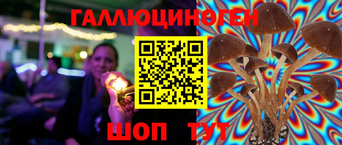 Псилоцибиновые грибы Psilocybe  Псилоцибиновые грибы ЛСД  Вход с VPN  Городец 